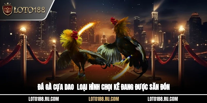 Đá gà cựa dao